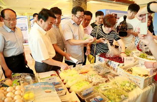 筑牢食安防線，暢通產銷動脈——保定市深化京津冀食用農產品產銷銜接機制建設紀實